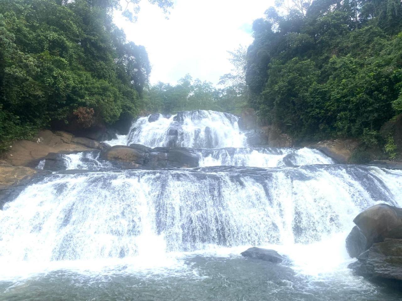 Sinharaja Riverside دينيايا المظهر الخارجي الصورة