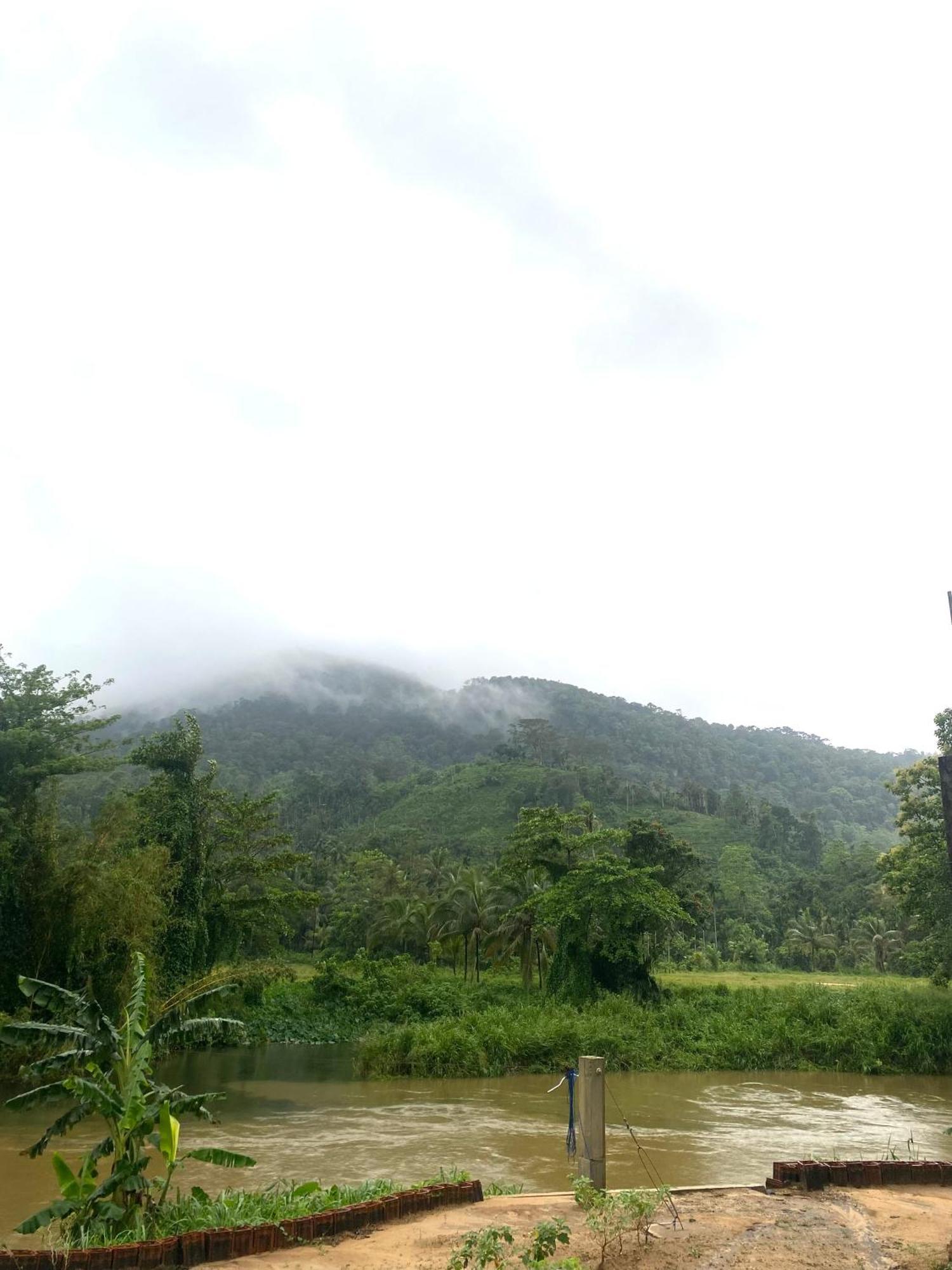 Sinharaja Riverside دينيايا المظهر الخارجي الصورة
