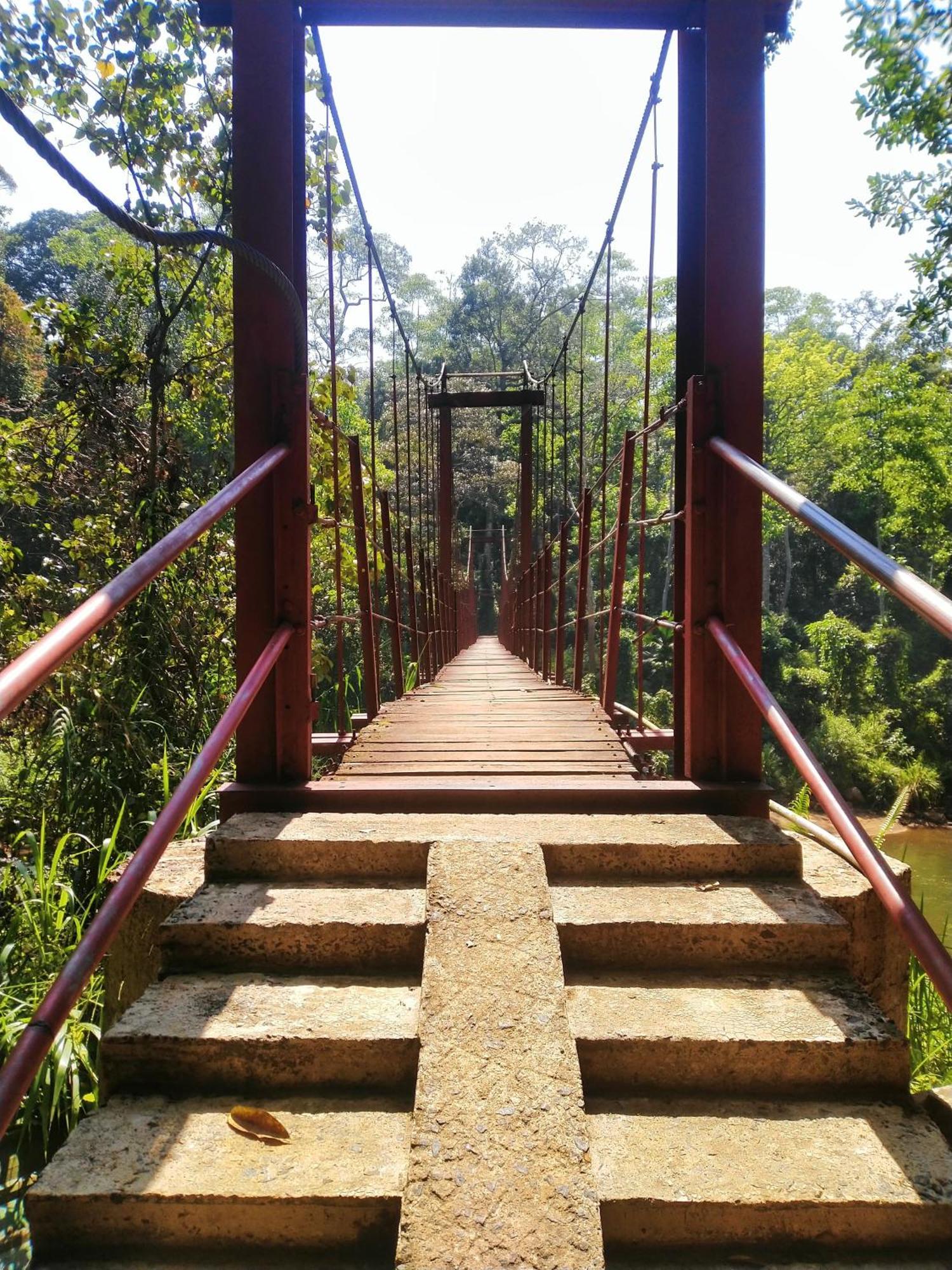 Sinharaja Riverside دينيايا المظهر الخارجي الصورة